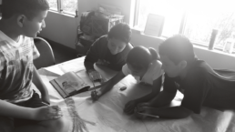 Dual Language TK-8th grade